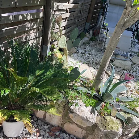 Grand Appartement T2, Charmant Jardin Montpellier Exterior photo