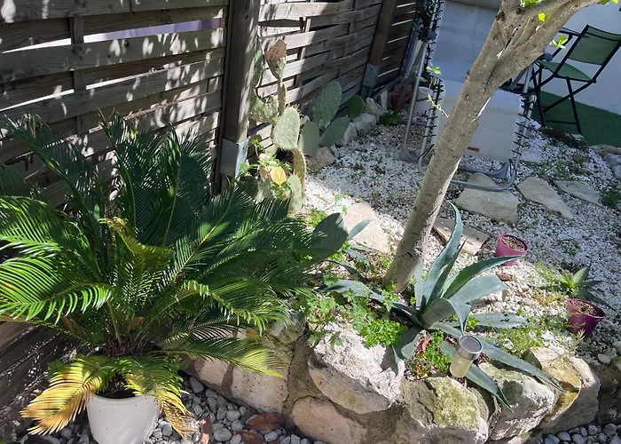 Grand Appartement T2, Charmant Jardin