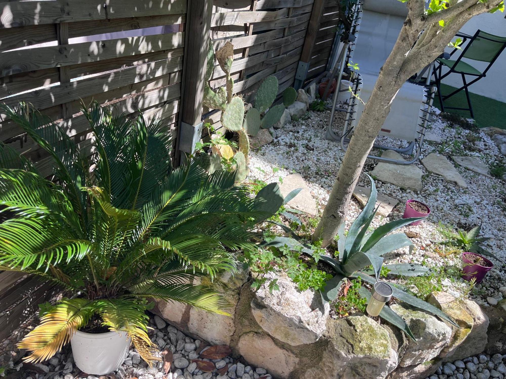 Grand T2, Jardin Appartement *